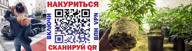 Купить наркоту Кингисепп Конопля Кокаин А ПВП ГАШИШ