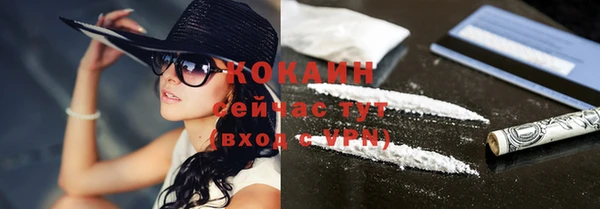 Альфа ПВП Каменка