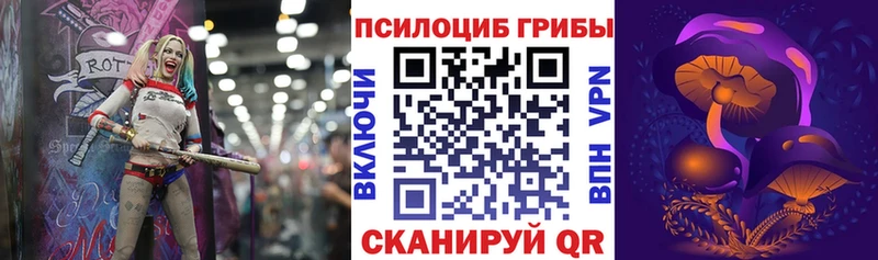 OMG tor  где купить наркотик  Кингисепп  Псилоцибиновые грибы Cubensis 