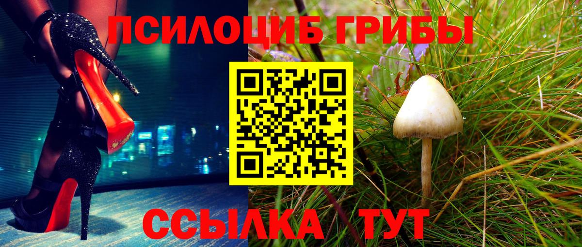 цены наркотик  Галлюциногенные грибы мицелий  Вход с VPN  Кингисепп 