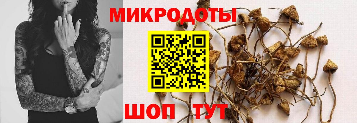 Галлюциногенные грибы Magic Shrooms Кингисепп